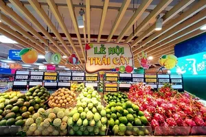 17 produce chains in Hau Giang successfully linked to wholesale systems