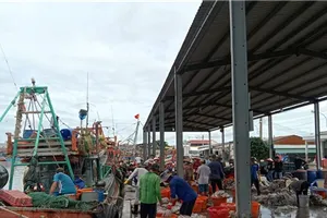 Tra Vinh Province actively prevents IUU fishing 