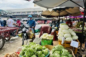 Buyers are busy choosing vegetables in wholesale markets 