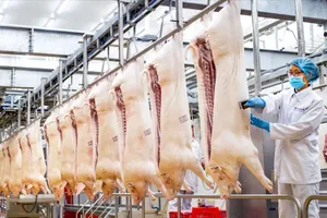 Food processing increases scale to answer community needs 