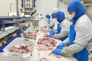 Chilled processing of pork in MeatDeli Hanoi Factory (member of Masan Group) (Photo: SGGP)