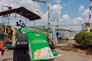 Jasmine rice is exported to the European market