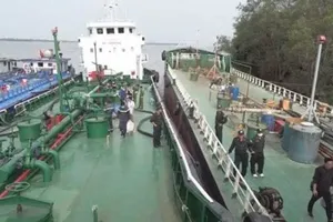 Dong Nai further investigates cross-border gasoline smuggling