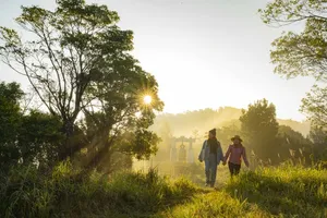 Tourists are exploring Bach Ma National Park (Photo: SGGP)