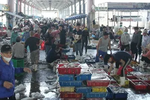 Tho Quang Fishing Port in Da Nang City is bustling with seafood trading activities (Photo: SGGP)