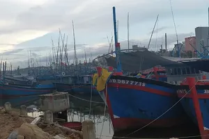 Fishing boats of Binh Dinh dwellers are parked inside Tam Quan Fishing Port 