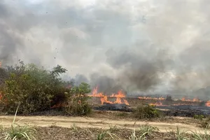 Tens of hectares of production and protection forest as well as sugarcane fields of local dwellers are on fire