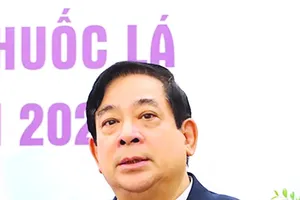 E-cigarette displays great dangers to young generations