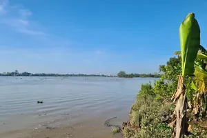Tra Vinh Province announces emergency of riverbank erosion
