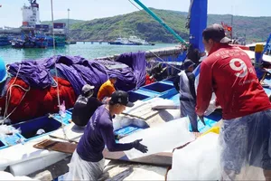 Many fishing vessels in Binh Dinh Province are facing much trouble due to connection loss of their VMS device (Photo: SGGP)
