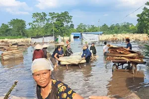 Local people are fleeing from flooding on the Chay River in Lao Cai and Yen Bai provinces, August 5 and 6 