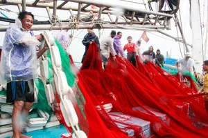 Fishermen from Binh Dinh Province are securing their boats at Tinh Hoa Fishing Port in Quang Ngai City (Photo: SGGP)