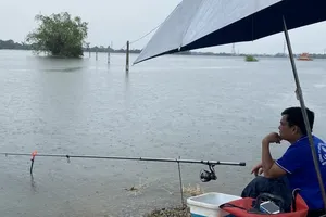 The water level on the Tich River in Hanoi was still higher than level-3 warning and on the rise yesterday (Photo: SGGP)