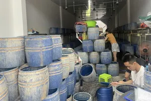 A bean sprout production facility using the growth stimulant, detected by the police of Quang Ngai City (Quang Ngai Province)