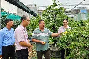 Staff members of the District 12 branch of the Vietnam Bank for Social Policies survey households borrowing preferential loans to address employment under Resolution No. 98/2023/QH15 (Photo: SGGP) 