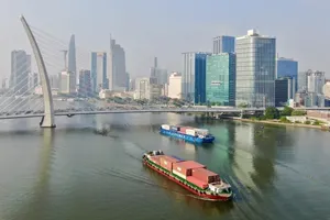 Container ship on the Saigon River (Photo: SGGP)