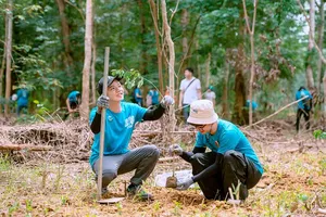 The newly planted saplings promise to contribute to a lush and vibrant forest 