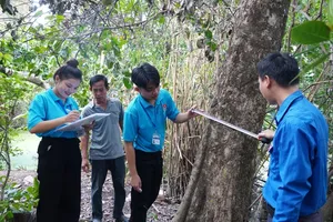 An architectural counting team is conducting an inventory at Truong Van Giang’s home in Thu Duc Ward, a household affected by the Ring Road 2 project, to prepare the compensation file (Photo: SGGP)
