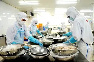 Workers at Tu Hai Co. Ltd. in Phuoc Thang Ward of HCMC are processing seafood for export 