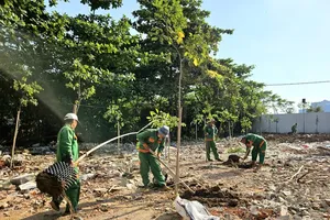 Workers are planting greenery on the plot of land recently handed over by residents in the Thu Thiem New Urban Area (Photo: SGGP)