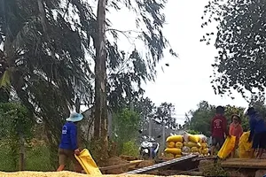 Delayed credit support leaves Vietnam rice sector in deep crisis