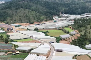 Newly opened suburban route promises to slash travel times around Da Lat