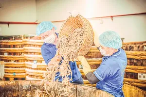 Mr. Le Anh, the founder of the Le Gia fish sauce brand (left), alongside workers, is preparing raw materials to ferment fish sauce (Photo: Provided by character)