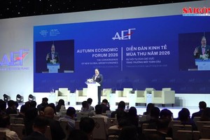 Vietnam needs financial experts to boost global competitiveness