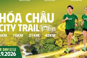 Huế lần đầu tiên tổ chức giải chạy City Trail tại rừng ngập mặn Rú Chá. Ảnh: Quỳnh Mai