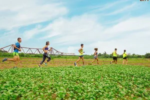 Đường chạy hữu ngạn sông Hồng