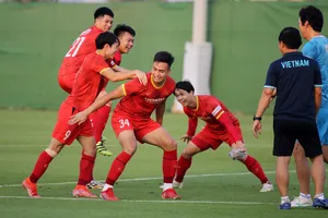 Đội tuyển Việt Nam luyện mà không có HLV Park Hang-seo cho đến đầu tháng 11