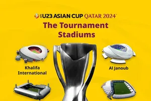 Các sân vận động tổ chức VCK