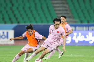 Đội tuyển Việt Nam lên hạng 115 thế giới