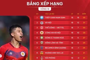 Bảng xếp hạng vòng 18 LP Bank V-League 2024-2025
