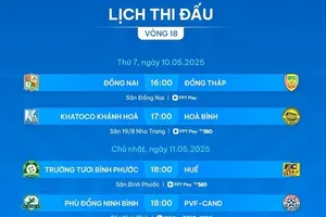 Lịch thi đấu vòng 18 giải hạng Nhất 2024-2025