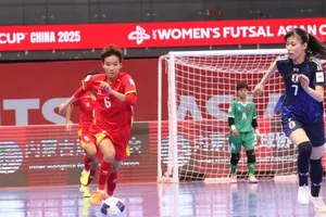 Các cô gái Việt Nam đã có nhiều cố gắng trước Nhật Bản.