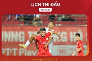 Lịch thi đấu vòng 24 V-League 2024-2025