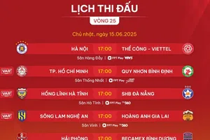 Lịch thi đấu vòng 25 V-League 2024-2025: 'Nối mạng' trên diện rộng