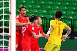 Điểm số của đội tuyển futsal Việt Nam trên BXH FIFA đã tăng mạnh mẽ trong thời gian qua.