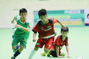 Bóng đá trẻ, Cộng đồng được VFF phát triển rộng trong thời gian qua.