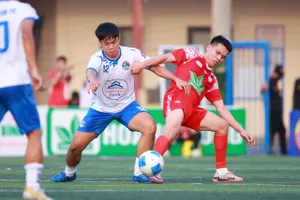  Có 16 đội tham dự mùa giải năm 2025.