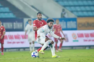 Có sự trở lại của Xuân Son từ đầu mùa, nhưng Nam Định vẫn chưa tìm lại hình ảnh của nhà đương kim vô địch. Ảnh: QUANG DƯƠNG