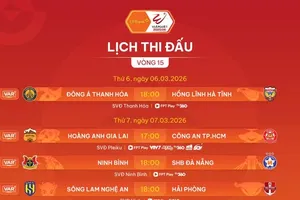 Lịch thi đấu vòng 15 LPBank V-League 2025-2026