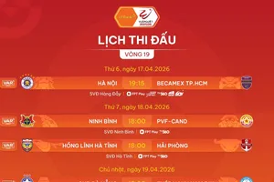 Lịch thi đấu vòng 19 LPBank V-League 2025-2026