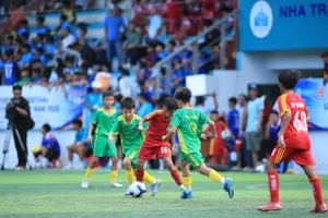 Festival có sự tham dự của 44 đội đến từ các trung tâm bóng đá trẻ trên cả nước.