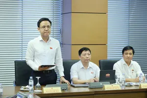 Đại biểu Nguyễn Thế Duy phát biểu tại phiên thảo luận.