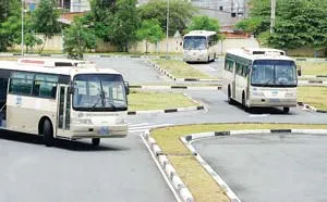 Kỷ luật một loạt cơ sở đào tạo lái xe