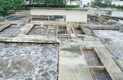 Vedan must pay compensation to farmer: SGGP reader