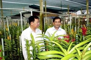 Nông dân thành phố làm theo mong ước Bác Hồ