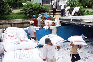 Measures to expand Vietnam rice export